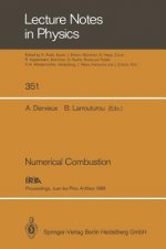 Numerical Combustion, 1