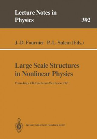 Large Scale Structures in Nonlinear Physics, 1