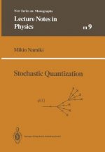 Stochastic Quantization