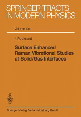 Surface Enhanced Raman Vibrational Studies at Solid Gas Interfaces