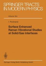 Surface Enhanced Raman Vibrational Studies at Solid Gas Interfaces