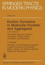 Exciton Dynamics in Molecular Crystals and Aggregates