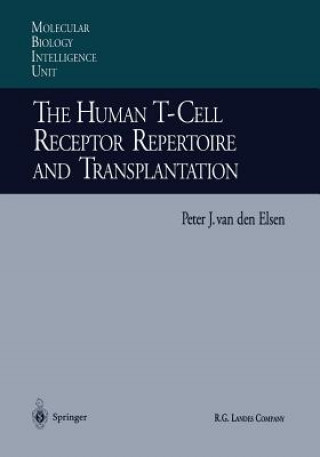 Human T-Cell Receptor Repertoire and Transplantation