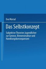 Selbstkonzept -- Subjektive Theorien Jugendlicher Zur Genese, Binnenstruktur Und Handlungskonsequenzen