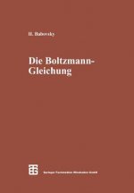 Die Boltzmann-Gleichung: Modellbildung Numerik Anwendungen, 1