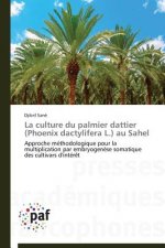 La Culture Du Palmier Dattier (Phoenix Dactylifera L.) Au Sahel