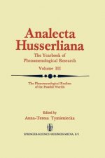 Phenomenological Realism of the Possible Worlds