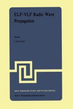 ELF-VLF Radio Wave Propagation, 1
