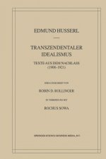 Transzendentaler Idealismus
