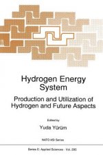 Hydrogen Energy System, 1
