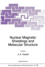 Nuclear Magnetic Shieldings and Molecular Structure