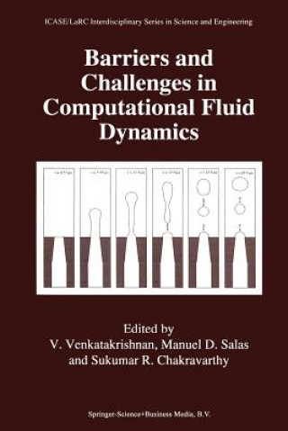 Barriers and Challenges in Computational Fluid Dynamics