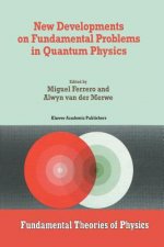 New Developments on Fundamental Problems in Quantum Physics