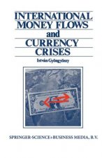 International Money Flows and Currency Crises