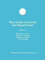 Myocardial Ischemia and Reperfusion