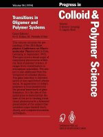 Transitions in Oligomer and Polymer Systems