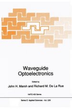 Waveguide Optoelectronics