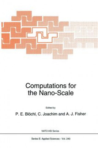 Computations for the Nano-Scale, 1