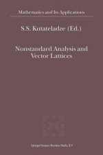 Nonstandard Analysis and Vector Lattices, 1