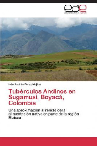 Tuberculos Andinos en Sugamuxi, Boyaca, Colombia