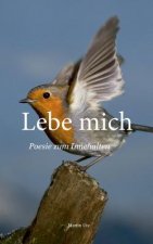 Lebe mich