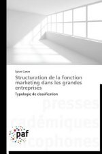 Structuration de la Fonction Marketing Dans Les Grandes Entreprises