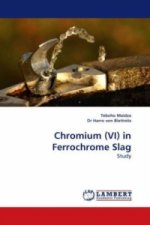 Chromium (VI) in Ferrochrome Slag