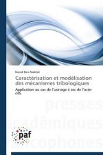 Caracterisation Et Modelisation Des Mecanismes Tribologiques