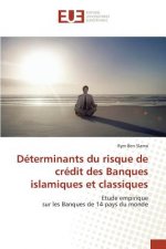 Determinants Du Risque de Credit Des Banques Islamiques Et Classiques