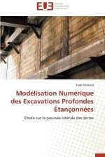 Mod lisation Num rique Des Excavations Profondes  tan onn es