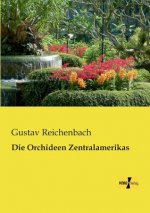 Orchideen Zentralamerikas