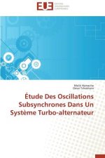 tude Des Oscillations Subsynchrones Dans Un Syst me Turbo-Alternateur