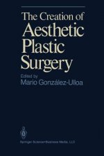 Creation of Aesthetic Plastic Surgery