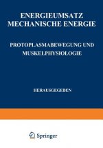 Energieumsatz