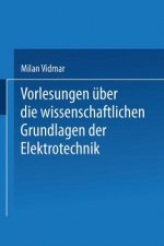 Vorlesungen  ber Die Wissenschaftlichen Grundlagen Der Elektrotechnik