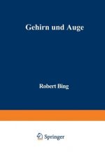 Gehirn Und Auge