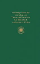 Streifzuge Durch Die Umwelten Von Tieren Und Menschen Ein Bilderbuch Unsichtbarer Welten