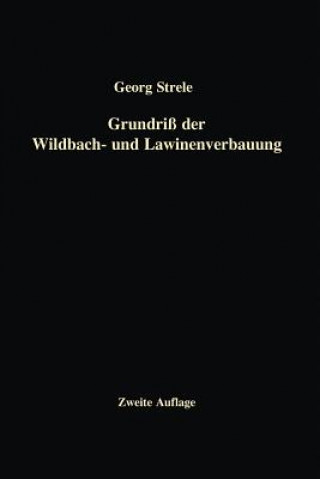 Grundri  Der Wildbach- Und Lawinenverbauung