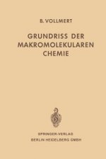 Grundriss Der Makromolekularen Chemie