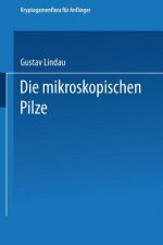 Die Mikroskopischen Pilze