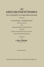 Die Kriegsblindenfursorge