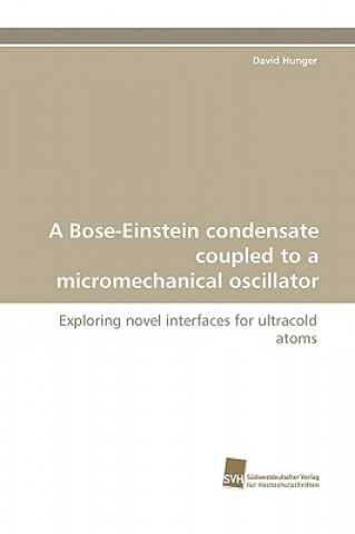 Bose-Einstein Condensate Coupled to a Micromechanical Oscillator