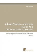 Bose-Einstein Condensate Coupled to a Micromechanical Oscillator