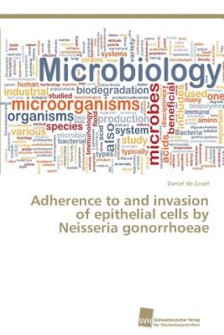Adherence to and invasion of epithelial cells by Neisseria gonorrhoeae