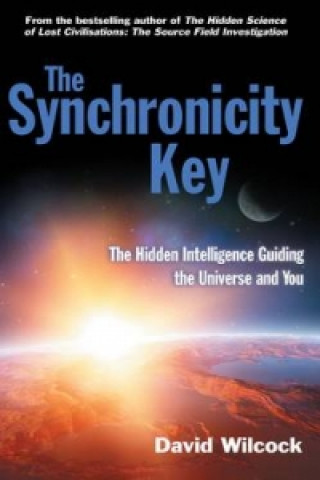 Synchronicity Key (David Wilcock)(Miękka)