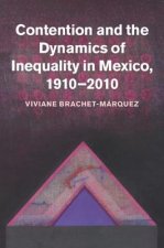 Contention and the Dynamics of Inequality in Mexico, 1910-2010