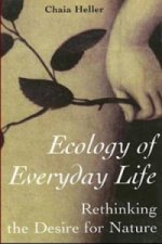 Ecology of Everday Life