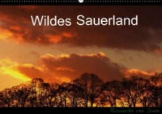 Wildes Sauerland (Wandkalender immerwährend DIN A2 quer)