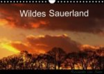 Wildes Sauerland (Wandkalender immerwährend DIN A4 quer)