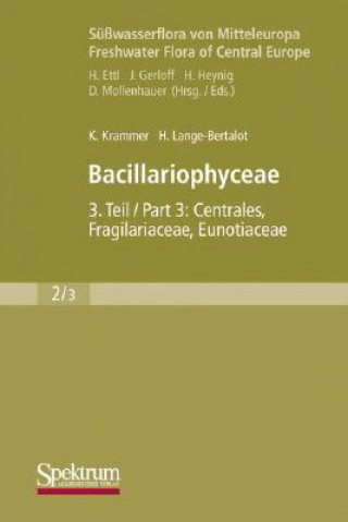 Bacillariophyceae
